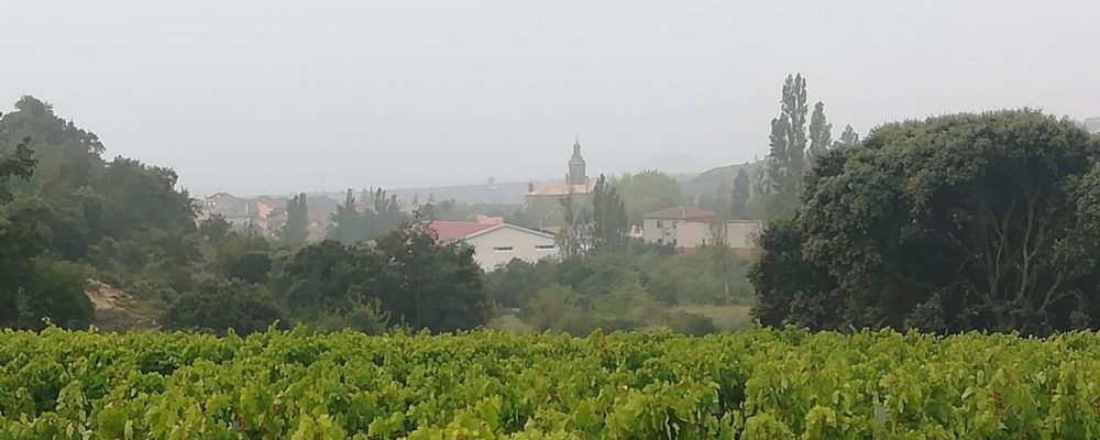 fin de semana entre viñedos